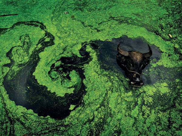 我們拿什么來(lái)拯救你生命的源泉