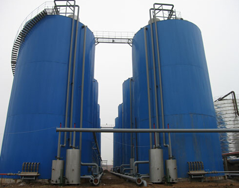 進(jìn)口與國產(chǎn)厭氧系統(tǒng)差異