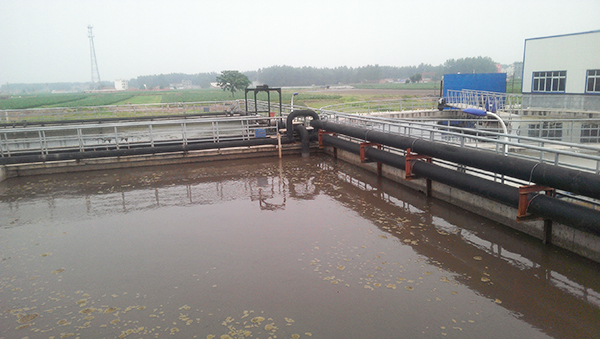 工業(yè)廢水中難降解有機物有什么危害