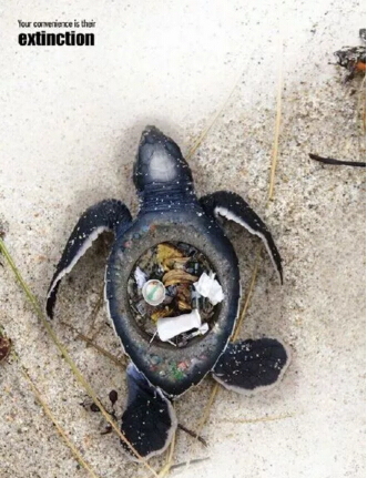 觸目驚心的環(huán)保海報設(shè)計，提醒你環(huán)保的重要性