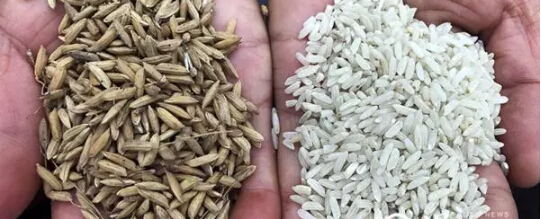 中央督察組隊第一批環(huán)保督查整改再次檢查，情況不容樂觀