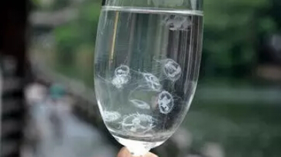 環(huán)保知識(shí)，教你如何辨別水質(zhì)