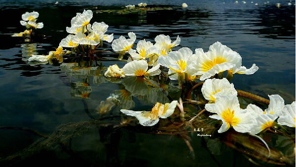 環(huán)保知識(shí)，教你如何辨別水質(zhì)