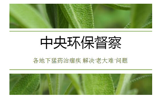 2019年，環(huán)保之路怎么走