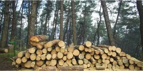 環(huán)保情人節(jié)，感受不一樣的情人節(jié)