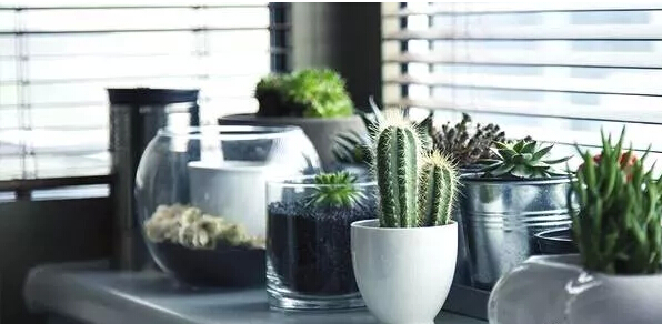 環(huán)保情人節(jié)，感受不一樣的情人節(jié)