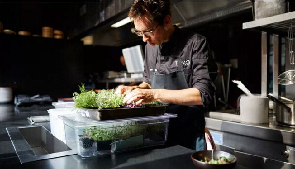 如何解決溫飽問題？荷蘭垂直農(nóng)場種蔬菜