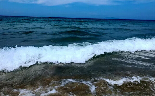 2019年治水任務(wù)，水環(huán)境治理進(jìn)行了怎樣的部署