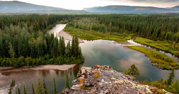 多用衛(wèi)生紙加劇全球變暖，哪國(guó)人最費(fèi)紙