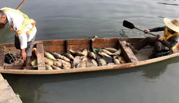 旺旺偷排廢水，標(biāo)榜企業(yè)如何變成這個模樣