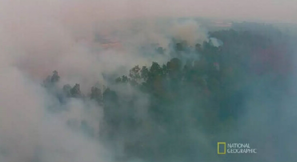 這本環(huán)保電影紀錄片你不得不看