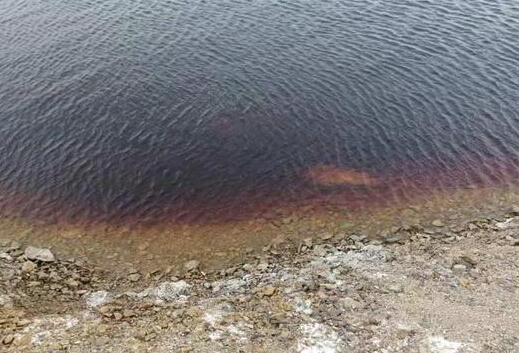 2019年生態(tài)環(huán)境保護大事