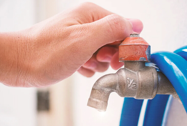 植樹(shù)節(jié)植下一抹綠意，收獲一片春光