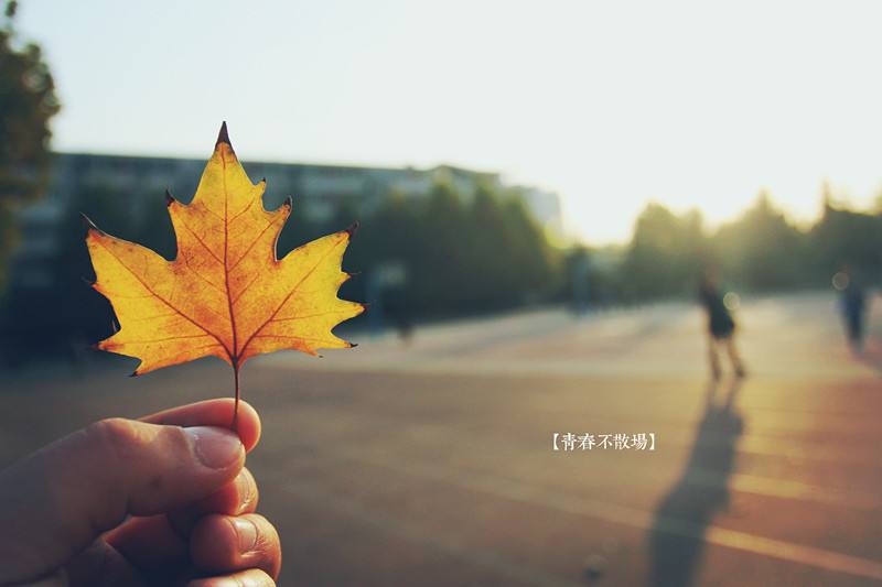 致敬青春！新入職小伙伴他們有話(huà)說(shuō)