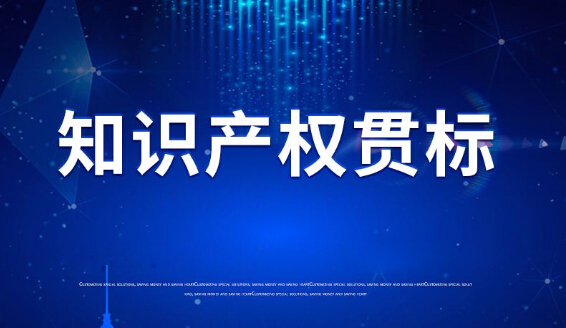 依斯倍環(huán)保順利通過2020知識(shí)產(chǎn)權(quán)管理體系認(rèn)證