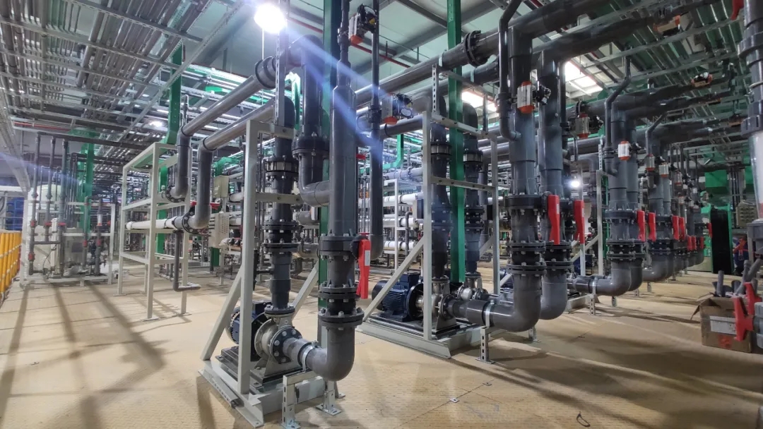 奔向零碳：加快形成綠色發(fā)展，建設(shè)生態(tài)美麗地球