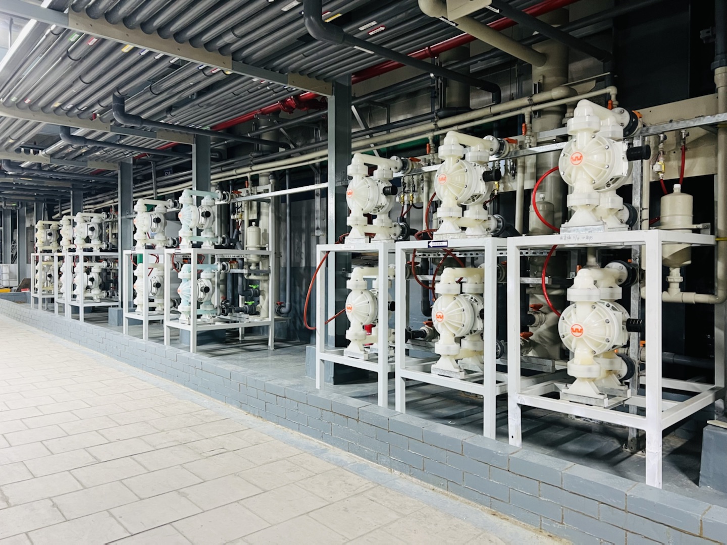 依斯倍入選2021年省“獨角獸”“瞪羚”企業(yè)名單