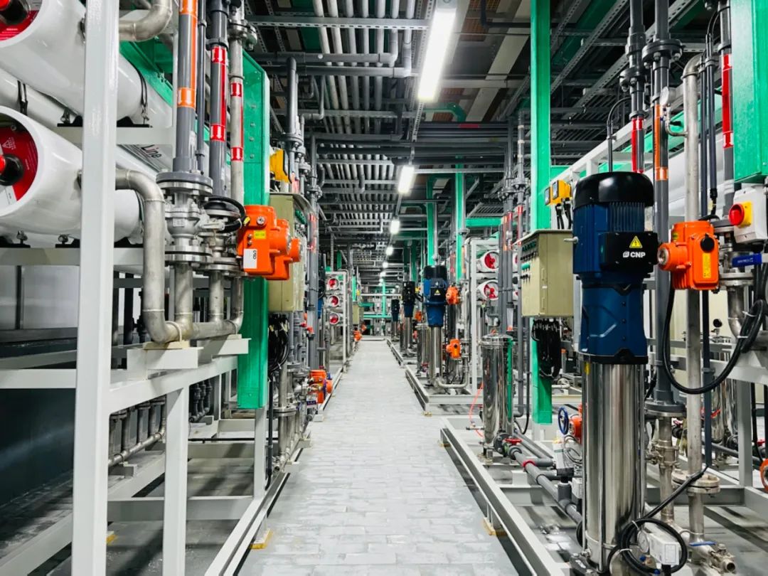 【科技創(chuàng)新】依斯倍新獲國家實(shí)用新型專利證書